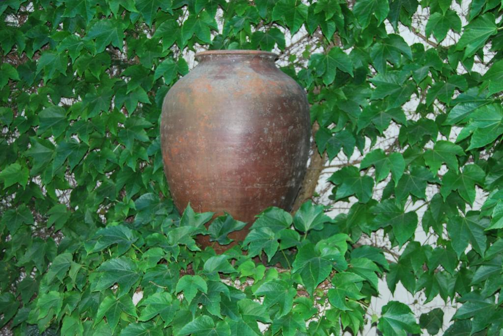 Rio Natural فيلا نوفا دو ميلفونتس المظهر الخارجي الصورة